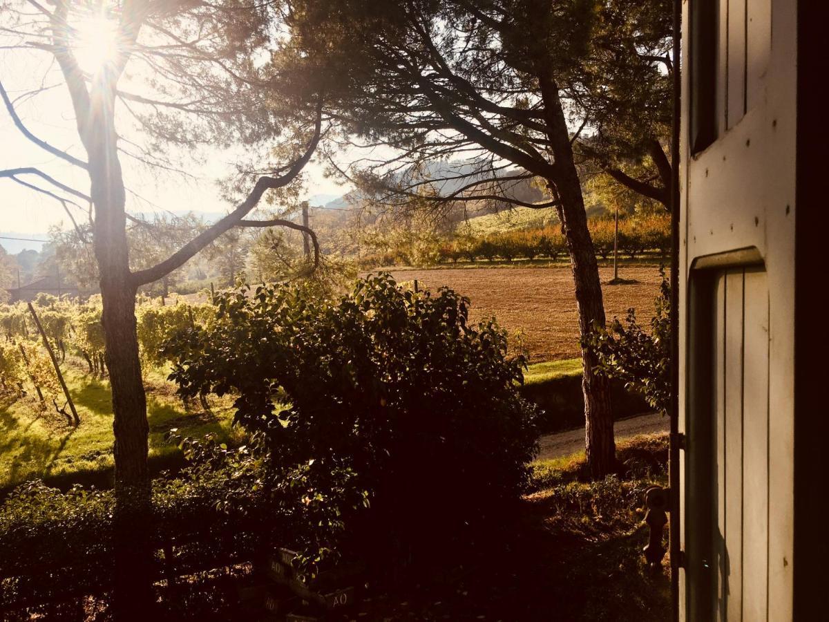 Il Cardello Locanda Casola Valsenio Extérieur photo