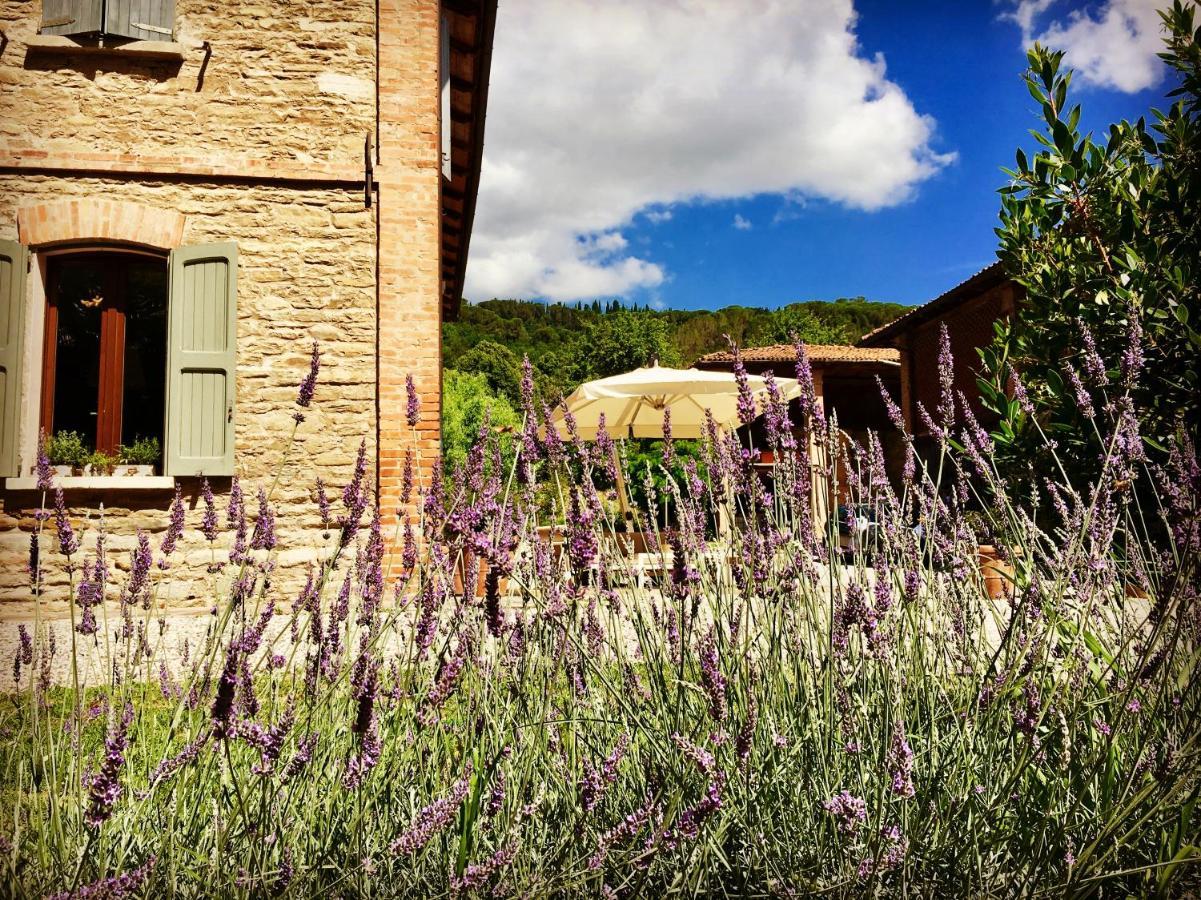 Il Cardello Locanda Casola Valsenio Extérieur photo